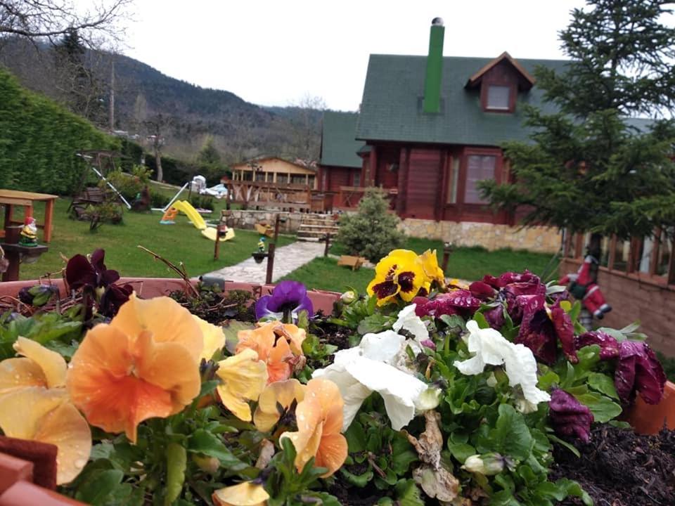 Kedra Village Екстер'єр фото