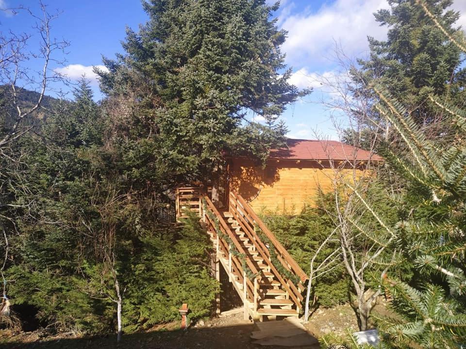 Kedra Village Екстер'єр фото